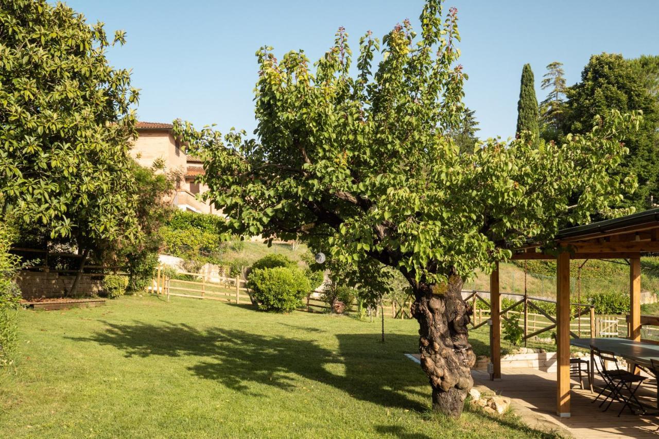 Toscana Da Sogno A Villa Allegria Siena Zewnętrze zdjęcie
